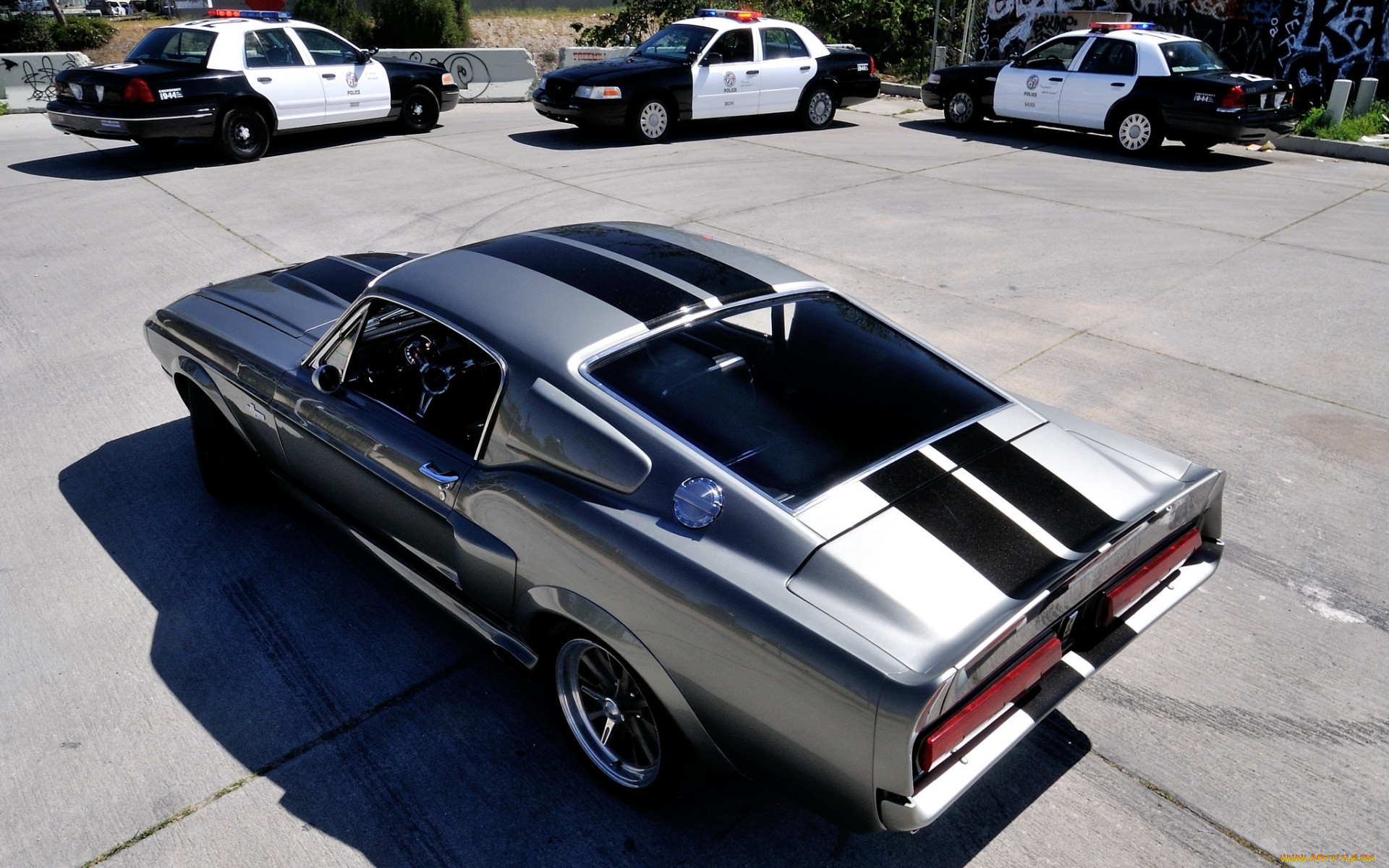 eleanor, , mustang, shelby, gt500